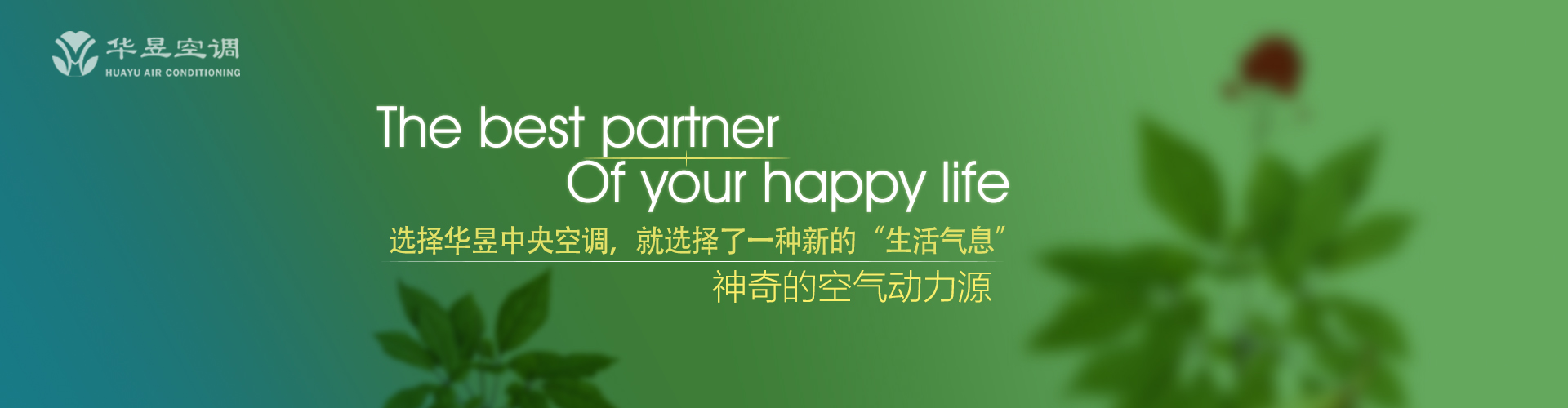 八面张罗网